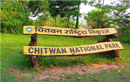 चितवन राष्ट्रिय निकुञ्जमा आठ महिनामा १५२ वन्यजन्तु मरे