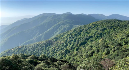 फेकोफनले हासिल गरेका उपलब्धी र आगामी दिनका चुनौती
