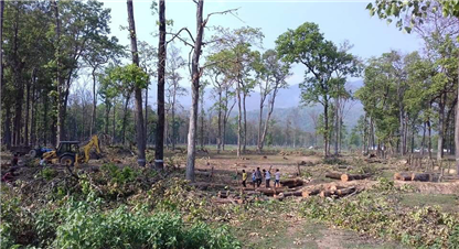 वैज्ञानिक वन व्यवस्थापनका नाममा भएको अनियमितताको तीन समितिले छानविन गर्दै 