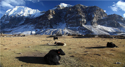 कञ्चनजङ्गा संरक्षण क्षेत्र व्यवस्थापन परिषद् विरुद्ध मुद्दा 